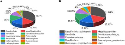 Study on the effectiveness of sulfate-reducing bacteria to remove Pb(II) and Zn(II) in tailings and acid mine drainage